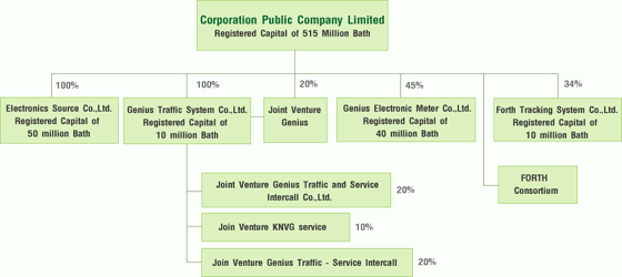 Structure of Investment in Subsidiary Company/Associated Company/ Joint Venture and Consortium